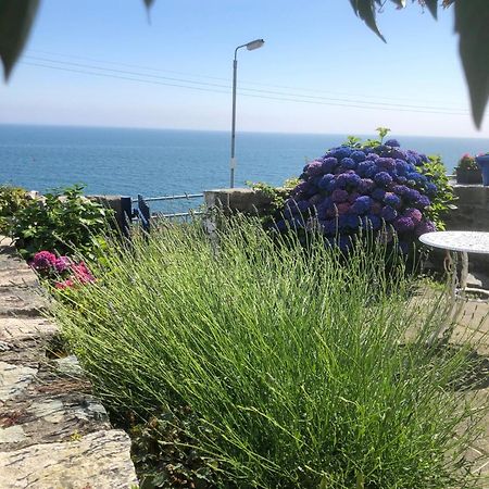 Slieve Donard Cottage Widows Row Cottages Newcastle  Exteriér fotografie